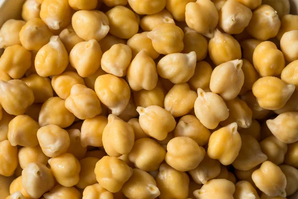 Raw Organic Garbanzo Beans Chickpeas — Stock Photo, Image