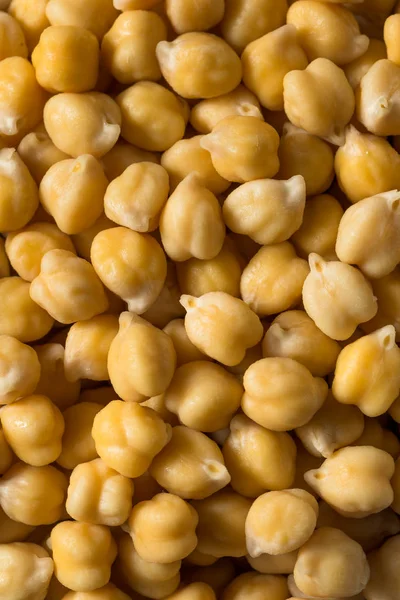 Raw Organic Garbanzo Beans Chickpeas — Stock Photo, Image