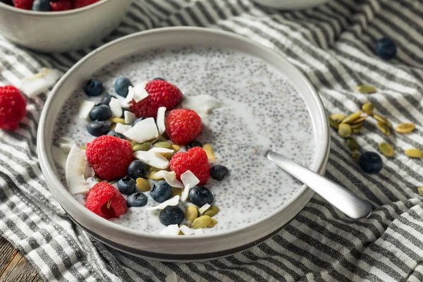 Domácí Chia Seed Pudding Bowl — Stock fotografie