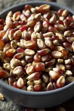 Çiğ organik patlamış mısır.