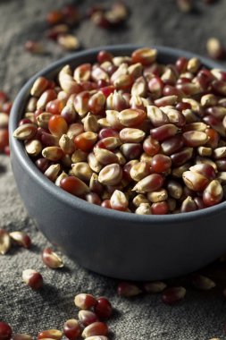 Çiğ organik patlamış mısır.