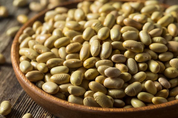Raw Yellow Organic Perruano Beans — Stock Photo, Image