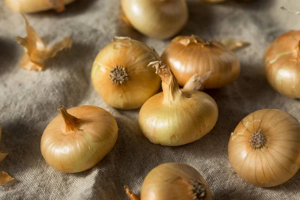Raw Yellow Organic Cipolline Onions — 스톡 사진