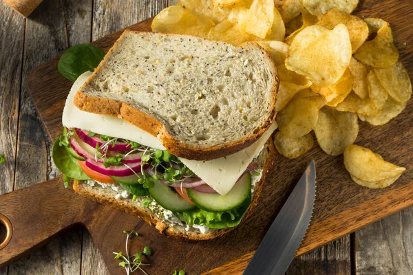 Healthy Organic Veggie Garden Sandwich — Stock Photo, Image