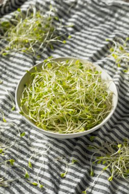 Çiğ Yeşil Organik Yonga Filizleri Mikroçimler