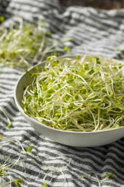 Çiğ Yeşil Organik Yonga Filizleri Mikroçimler