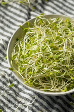 Çiğ Yeşil Organik Yonga Filizleri Mikroçimler