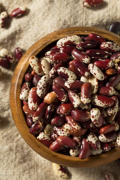 Frijoles de vacuno ecológicos rojos crudos —  Fotos de Stock