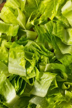 Çiğ Yeşil Organik Kesilmiş Romaine MaruluName