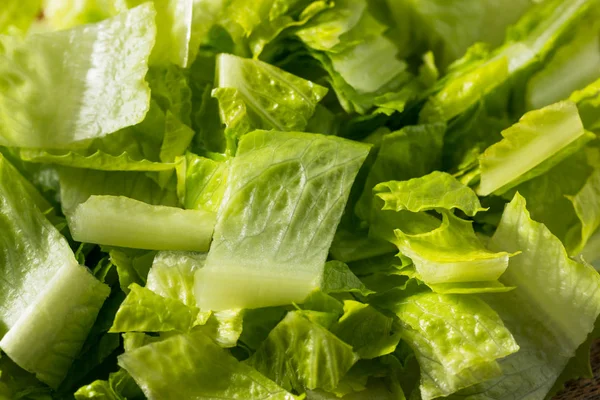 Raw Green Organic Cut Up Romaine Lettuce