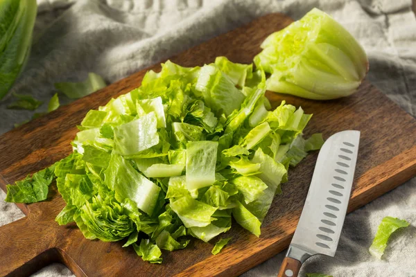 Verde crudo orgánico cortar lechuga romana — Foto de Stock