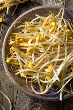 Çiğ Beyaz Organik Fasulye Filizi