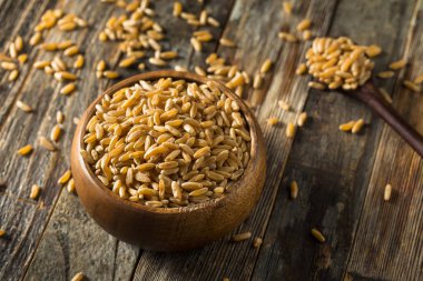 Kuru Kahverengi Organik Hurasan Buğdayı