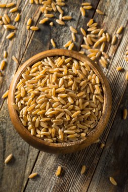 Kuru Kahverengi Organik Hurasan Buğdayı