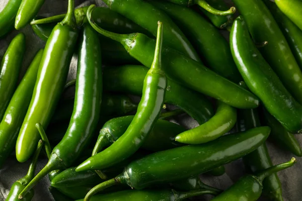 Rauwe groene biologische Serrano pepers — Stockfoto