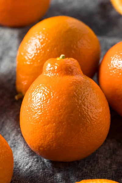 Naranja cruda Mineola orgánica Tangelo Fruta — Foto de Stock