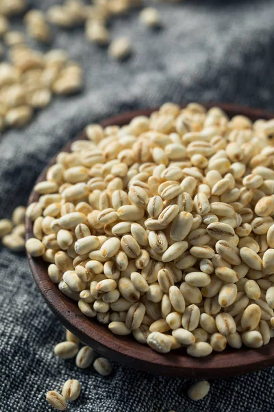 Raw Organic Italian Pearl Barley — стокове фото