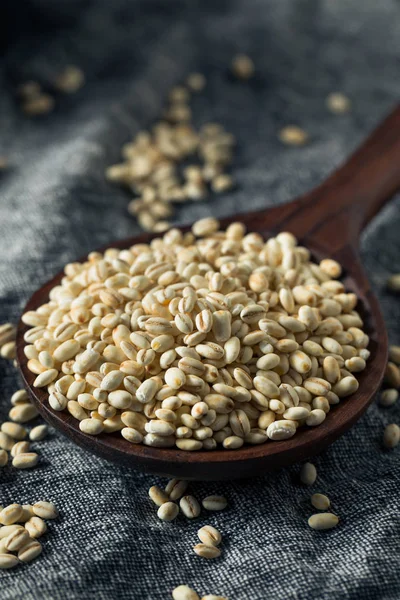 Raw Organic Italian Pearl Barley — Stock Photo, Image