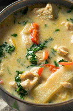 Ev yapımı baharatlı Tayland Hint cevizli yeşil körili tavuk.