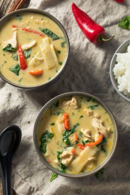 Ev yapımı baharatlı Tayland Hint cevizli yeşil körili tavuk.