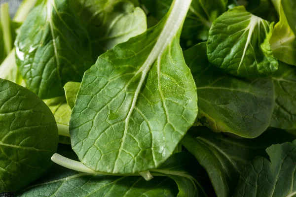 Verde Crudo Orgánico Bebé Bok Choy Verdes Racimo — Foto de Stock