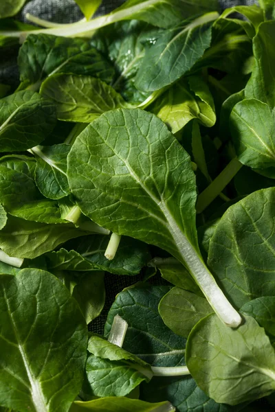 Verde Crudo Orgánico Bebé Bok Choy Verdes Racimo — Foto de Stock