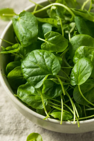 Berro Orgánico Verde Crudo Tazón —  Fotos de Stock