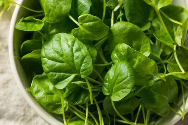 Raw Green Organic Watercress Een Kom — Stockfoto