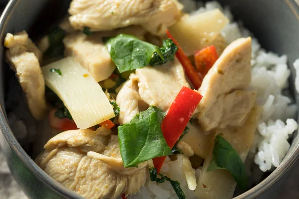 Homemade Spicy Thai Coconut Green Curry Chicken — Stock Photo, Image