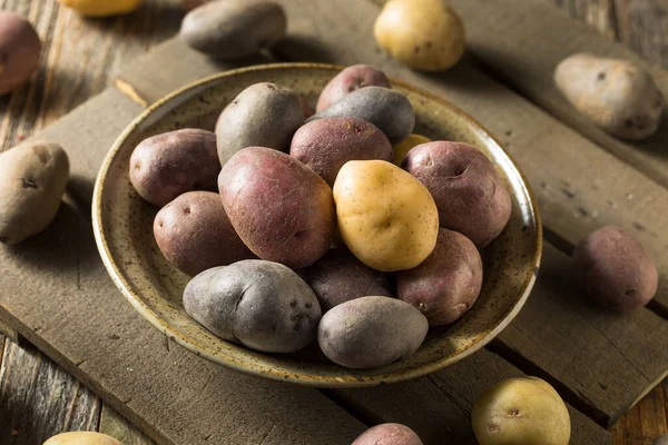 Patatas Bebé Arco Iris Orgánicas Crudas Tazón — Foto de Stock