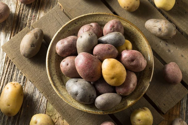 Patatas Bebé Arco Iris Orgánicas Crudas Tazón — Foto de Stock