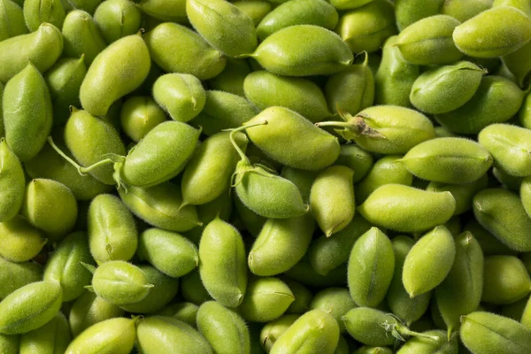 Rauwe Groene Biologische Garbanzo Bonen Een Kom — Stockfoto