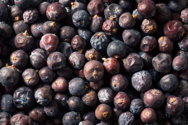 Çiğ mor organik ardıç meyveleri kasede