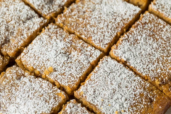 Homemade Sweet Applesauce Cake Powdered Sugar — Stock Photo, Image
