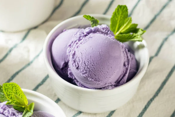 Homemade Purple Japanese Ube Ice Cream Bowl — 스톡 사진