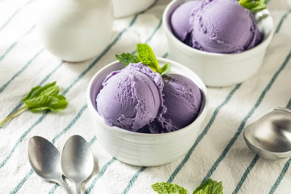 Caseiro Roxo Japonês Ube Sorvete Uma Tigela — Fotografia de Stock