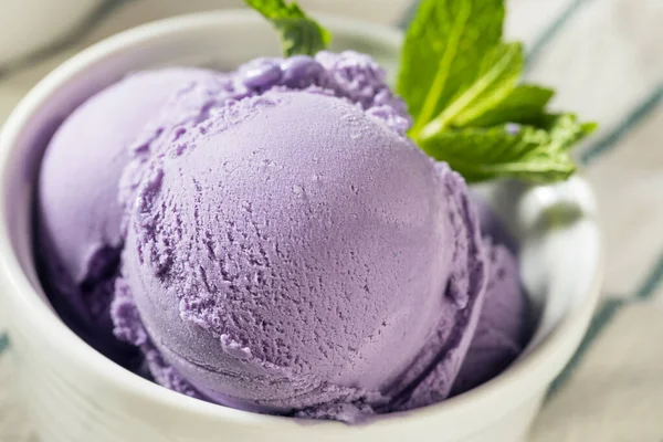 Homemade Purple Japanese Ube Ice Cream Bowl — 스톡 사진