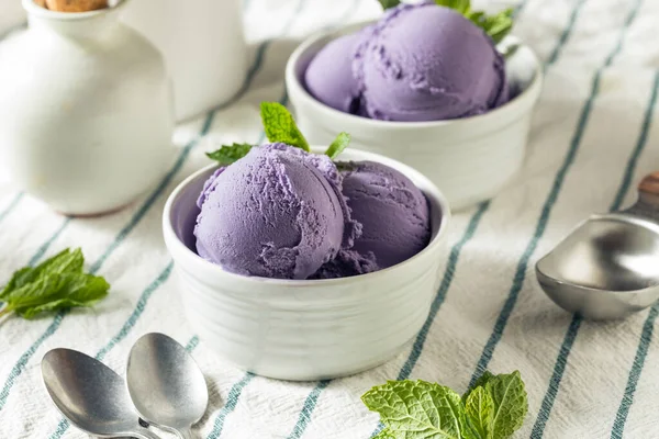 Homemade Purple Japanese Ube Ice Cream Bowl — 스톡 사진