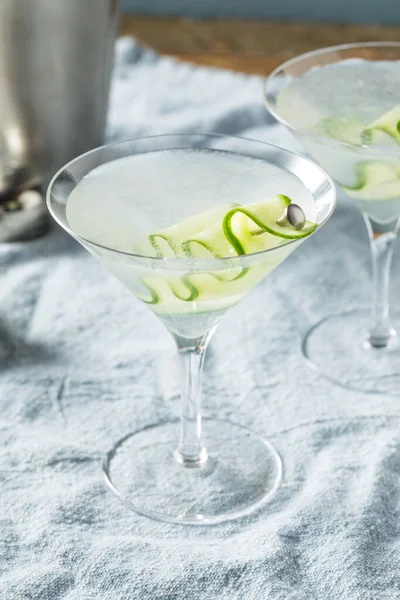 Японський Сак Cake Cucumber Martini Cocktail Vodka — стокове фото