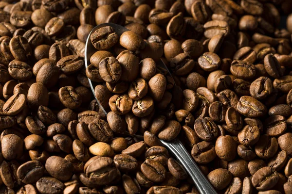 Trockene Bio Kaffeebohnen Einer Schüssel — Stockfoto