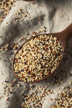 Bir kasede üç renkli organik kinoa Kernals