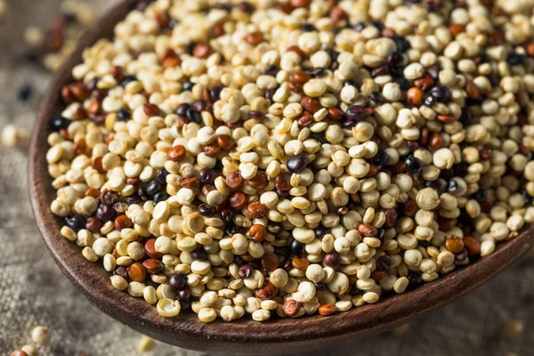 Surowy Tricolor Organiczne Quinoa Kernals Misce — Zdjęcie stockowe