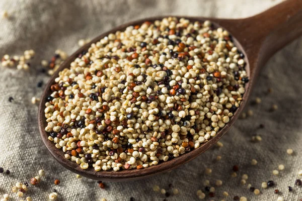 Raw Tricolor Biologische Quinoa Kernalen Een Schaal — Stockfoto