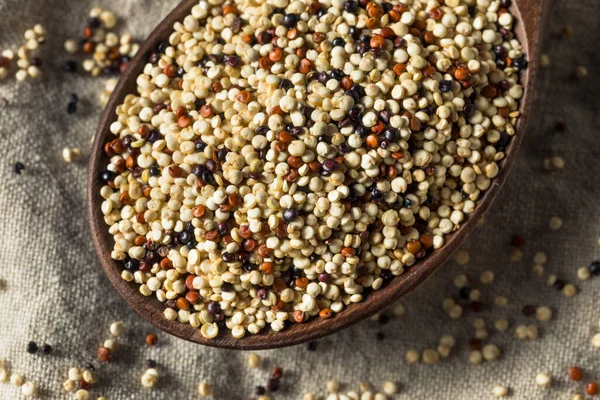 Raw Tricolor Organic Quinoa Kernals Bowl — Stock Photo, Image