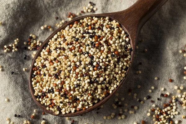 Raw Tricolor Organic Quinoa Kernals Bowl — Stock Photo, Image