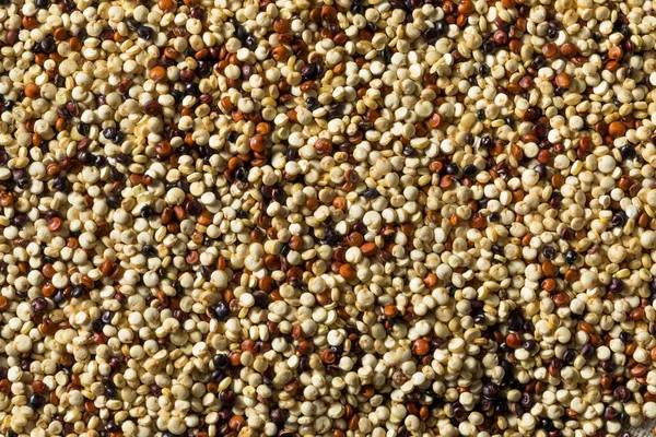 Raw Tricolor Organic Quinoa Kernals Skål — Stockfoto