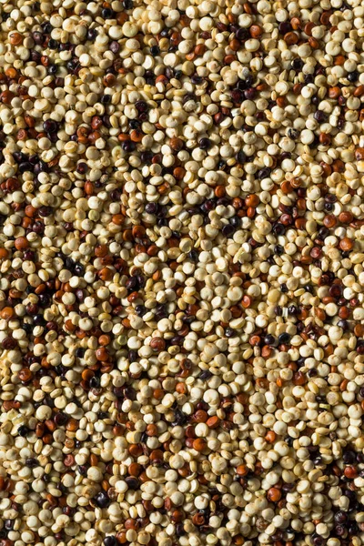 Raw Tricolor Biologische Quinoa Kernalen Een Schaal — Stockfoto