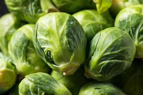 Raw Organic Green Brussel Sprouts Bowl — Stock Photo, Image