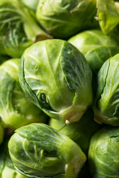 Raw Organic Green Brussel Sprouts Een Schaal — Stockfoto