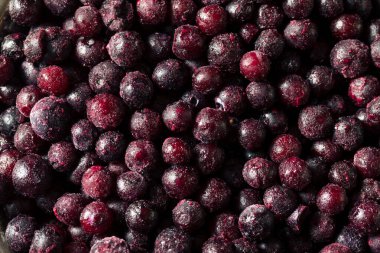 Tazeleyici Organik Donmuş Yabanmersini Kasesi